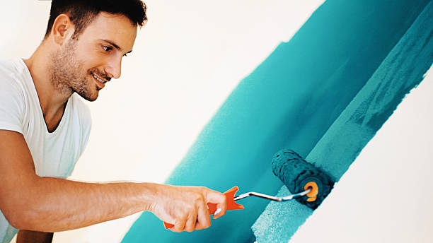 Trusted South Lakes, AK Mold Removal Experts