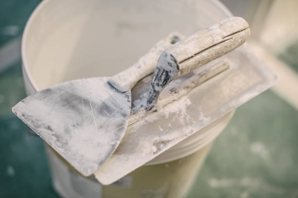 Best Mold Remediation for Healthcare Facilities  in South Les, AK